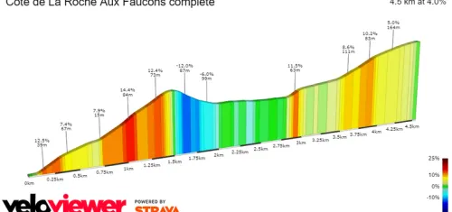 Côte de la Roche aux Faucons: 1.3Km al 10%; a 13.5Km de meta