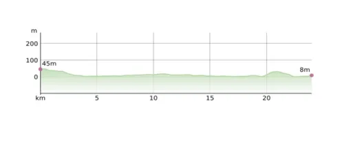 Perfil del Trofeo Ses Salines 2026