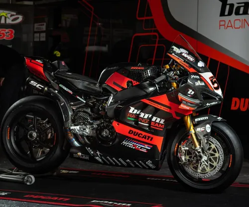 166711273 1738674076313608 6392800525159098912 n