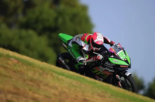 41798935 1938818752844713 4274391572268711936 n