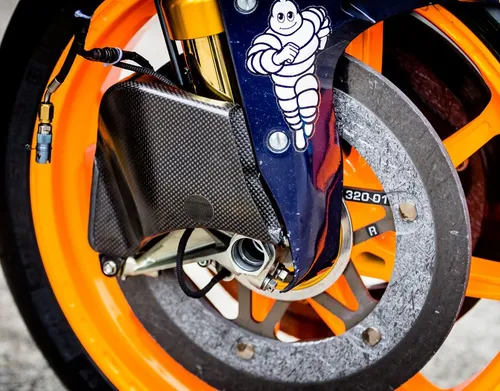 97568449 10158922288565769 4187075033169920000 o