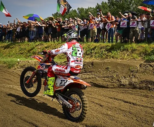 Michael van der Mark