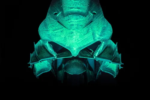 g85 2581b web 1536x1024