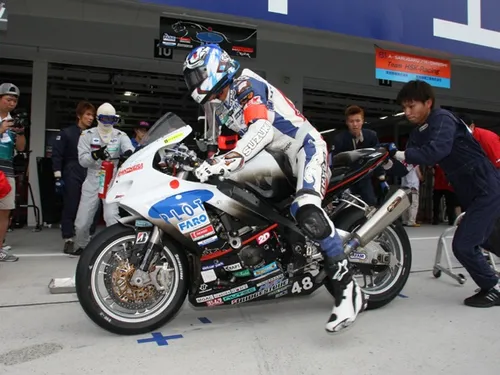 osamu deguchi plot faro panthera