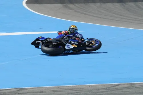 stf 1645 e1537336876884