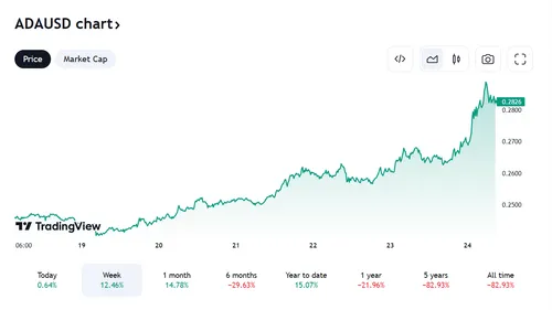 7wzrm zkqf13mrf4w8p1k5qb4v85k qwy4bazbi1yespw5osjcsicppwiiq5gglhzwtmw we5r8vytjl 7srkkalzlbp2m5qs6rytfxzlic1rjtzw7azbel97gtg4tutpsr6teszr7zaxn7hj7ip2ki