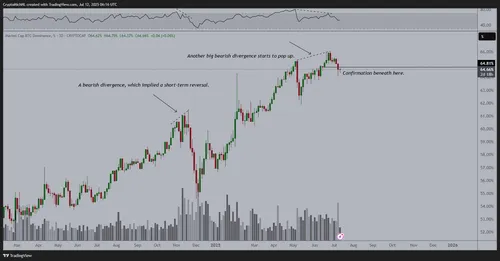 Bitcoin dominantie daalt