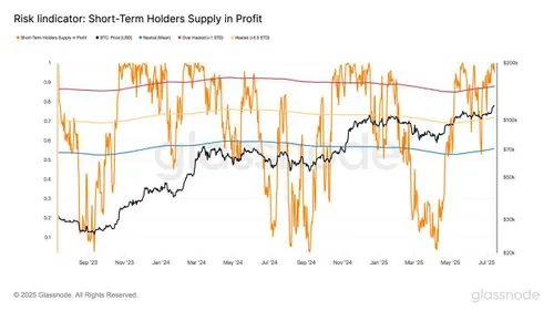Bitcoin Short-Term Holder Profit