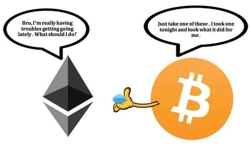 cryptobenelux cryptomemes 7 1
