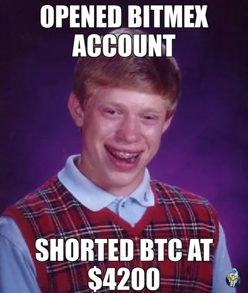 cryptobenelux cryptomemes8