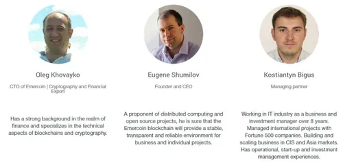 emercointeam