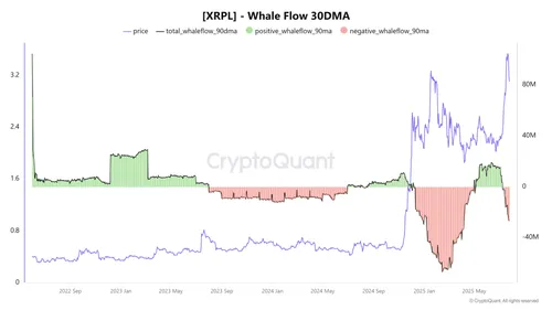 XRP whale flow
