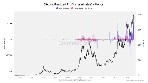 Bitcoin Realized Whale Profits - Bron: CryptoQuant