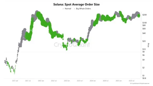 Solana gemiddelde spot orders - Bron: CryptoQuant