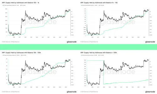 XRP-adressen met een tokenbalans van 10.000 tot 100.000 of meer - Bron: Glassnode