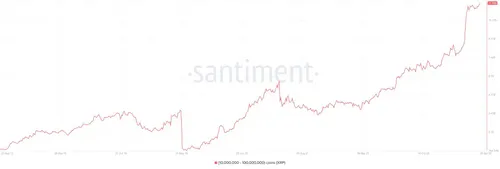 XRP whale accumulatie