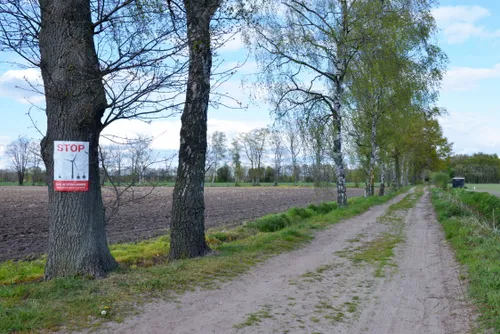 20210205 baarlenassau jca4989