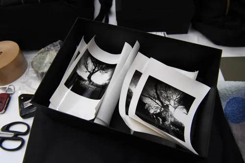 20210323 zundert betsy green jst0593