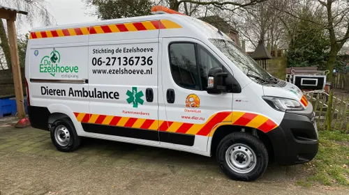 ezelambulance 1