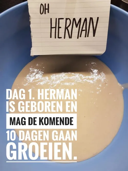 herman1