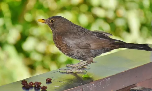 screenshot 20220124 144006