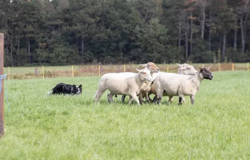 weblogobew img 6899 2