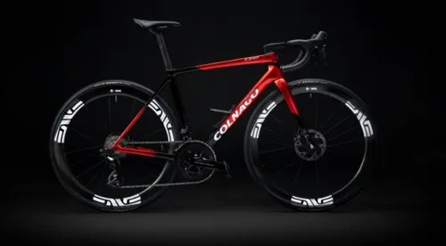 Exemplar vendido em leilão por&nbsp;21.590 dólares