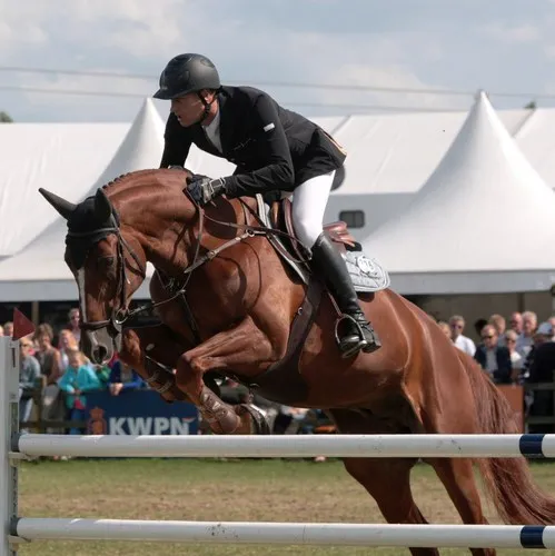 022c33153233a4dbb287e4069d407e5d