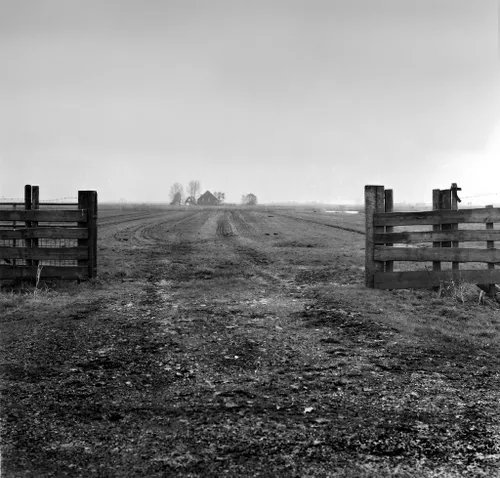 103930127 f62578f154 b