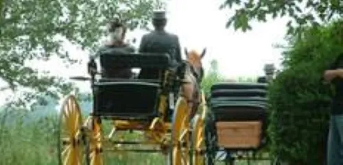 11071543 940937989270176 1977369830701611838 n