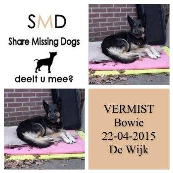 11178343 889410944463128 2113090851770265816 n 1