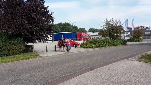 12077092 1128516047166833 561491845 n