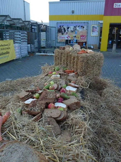 12081614 1128517173833387 607929275 n 1