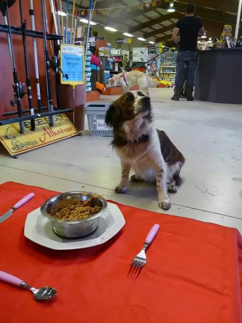 12092451 1128517043833400 399064152 n