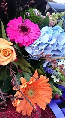 12592543 756216881179876 525275307011265291 n