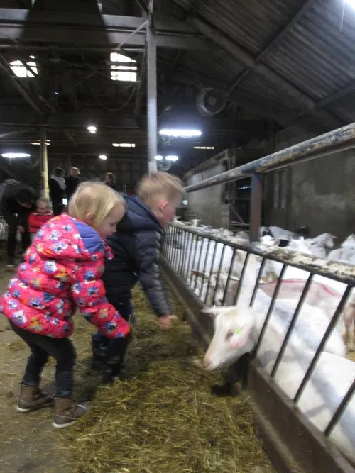 12665906 1007201626003399 251534943 n