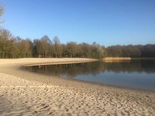 13015135 733201790113470 772142339363497858 n