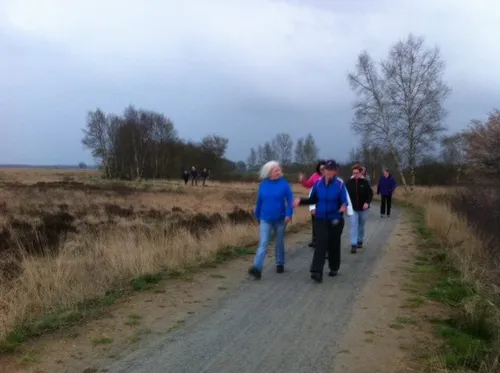 13043805 568253560009595 4633389678105183627 n