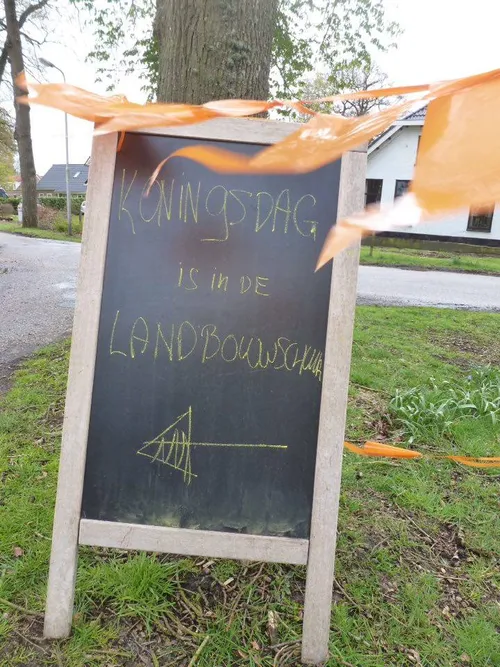 13081971 1152080234853242 77879828 n