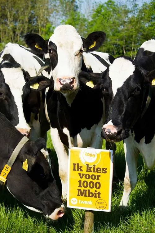 13173495 10206072055386610 6353461141316310068 o