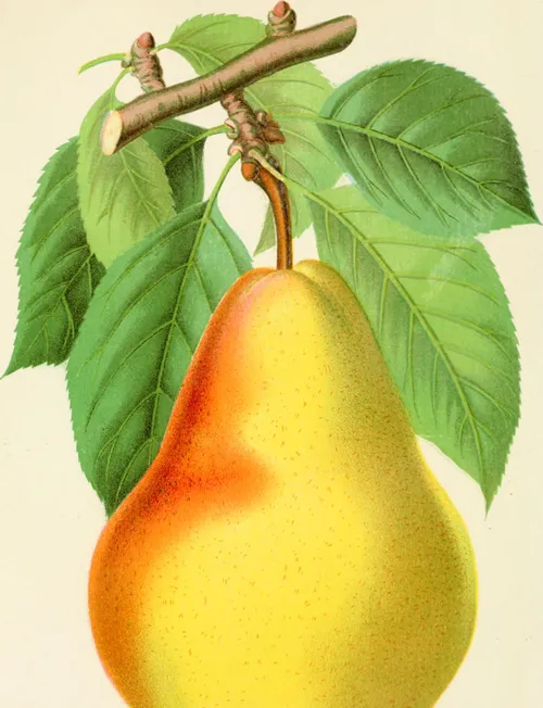 14777140371 374e5a7a6c h