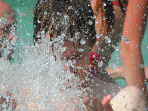 215242115 f86d632bd8 b