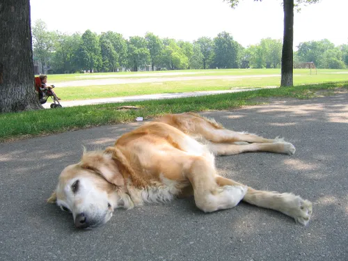 22440136 b90269f0ef b