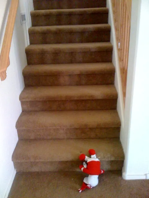 2393625162 67db311cf4 o