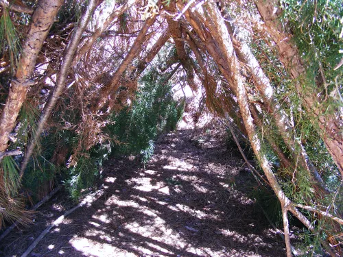 3438584528 6ae258ef60 b