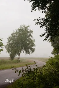 4685053471 aa5178ba9f b 200x300