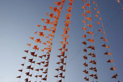 490319608 bac04cf279 o