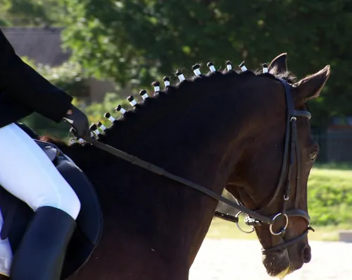 54908038 0fc4ebc130 b