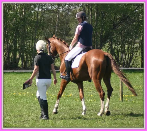 941549 449673228455381 1469966084 n