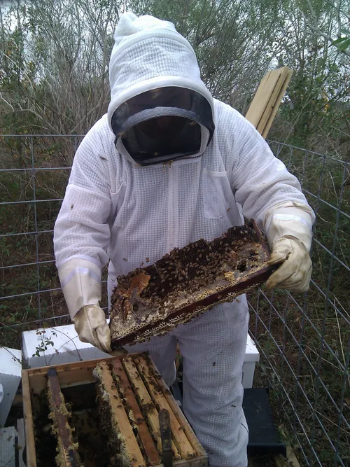 badboy of maths foter cc by